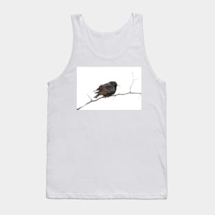 Hello Starling Tank Top